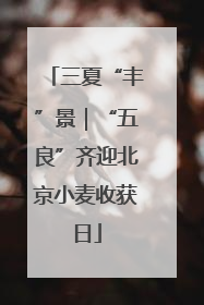 三夏“丰”景｜“五良”齐迎北京小麦收获日