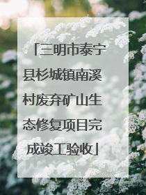 三明市泰宁县杉城镇南溪村废弃矿山生态修复项目完成竣工验收