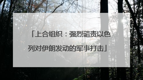 上合组织：强烈谴责以色列对伊朗发动的军事打击
