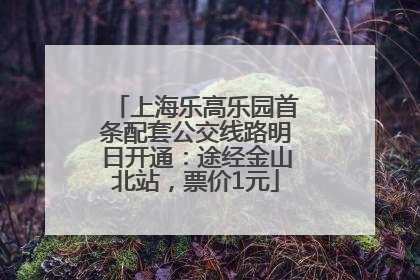 上海乐高乐园首条配套公交线路明日开通：途经金山北站，票价1元