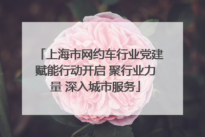 上海市网约车行业党建赋能行动开启 聚行业力量 深入城市服务