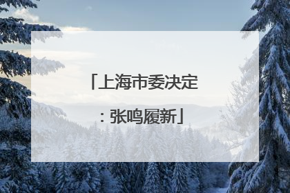 上海市委决定：张鸣履新