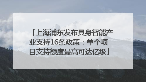 上海浦东发布具身智能产业支持16条政策：单个项目支持额度最高可达亿级
