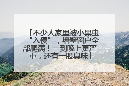 不少人家里被小黑虫“入侵”，墙壁窗户全部爬满！一到晚上更严重，还有一股臭味