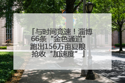与时间竞速！淄博66条“金色通道”跑出156万亩夏粮抢收“加速度”