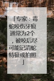 专家：毒蛇咬伤牙痕通常为2个，被咬后尽可能记清蛇特征或拍照