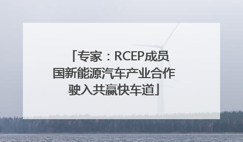 专家：RCEP成员国新能源汽车产业合作驶入共赢快车道