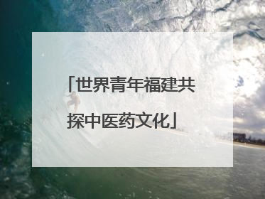 世界青年福建共探中医药文化