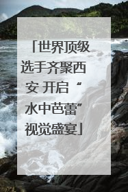 世界顶级选手齐聚西安 开启“水中芭蕾”视觉盛宴
