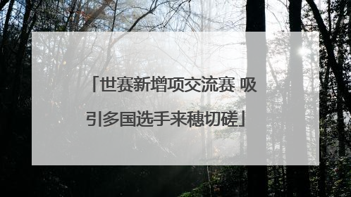 世赛新增项交流赛 吸引多国选手来穗切磋