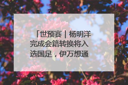 世预赛｜杨明洋完成会籍转换将入选国足，伊万想通了要打双后腰？
