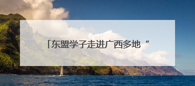 东盟学子走进广西多地“沉浸式”感知中国式民主
