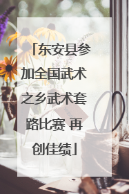 东安县参加全国武术之乡武术套路比赛 再创佳绩