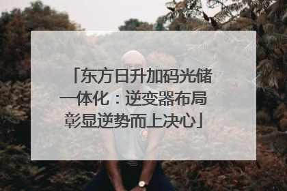 东方日升加码光储一体化：逆变器布局彰显逆势而上决心