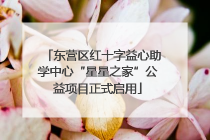东营区红十字益心助学中心“星星之家”公益项目正式启用