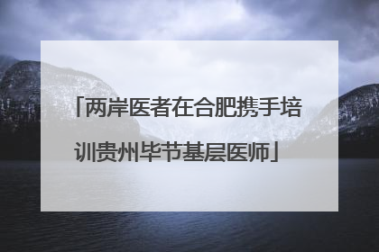 两岸医者在合肥携手培训贵州毕节基层医师