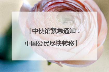 中使馆紧急通知：中国公民尽快转移