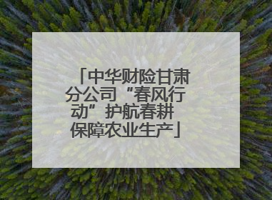 中华财险甘肃分公司“春风行动”护航春耕 保障农业生产