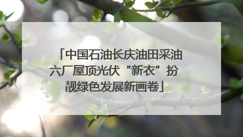中国石油长庆油田采油六厂屋顶光伏“新衣”扮靓绿色发展新画卷