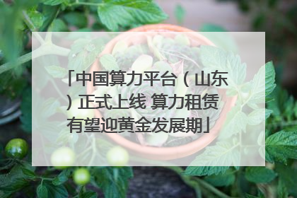 中国算力平台（山东）正式上线 算力租赁有望迎黄金发展期