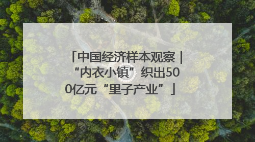 中国经济样本观察｜“内衣小镇”织出500亿元“里子产业”