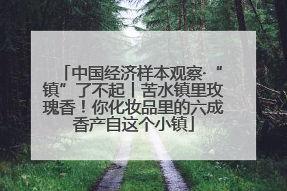 中国经济样本观察·“镇”了不起丨苦水镇里玫瑰香！你化妆品里的六成香产自这个小镇