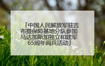 中国人民解放军驻吉布提保障基地分队参加马达加斯加独立和建军65周年阅兵活动