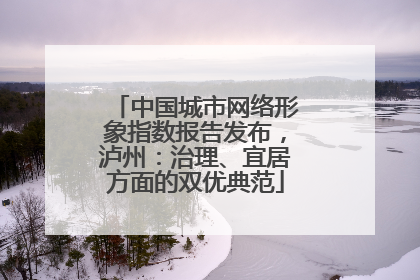 中国城市网络形象指数报告发布，泸州：治理、宜居方面的双优典范