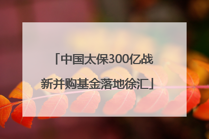 中国太保300亿战新并购基金落地徐汇