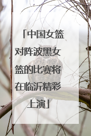 中国女篮对阵波黑女篮的比赛将在临沂精彩上演