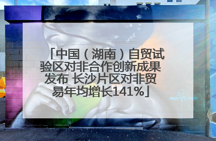 中国（湖南）自贸试验区对非合作创新成果发布 长沙片区对非贸易年均增长141%