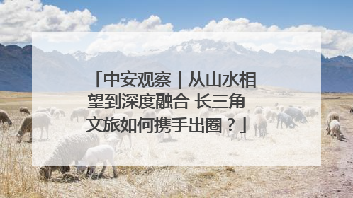 中安观察｜从山水相望到深度融合 长三角文旅如何携手出圈？
