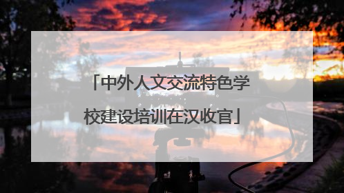 中外人文交流特色学校建设培训在汉收官