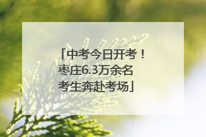 中考今日开考！枣庄6.3万余名考生奔赴考场