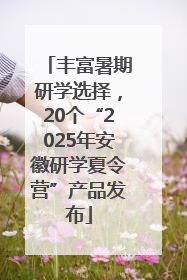 丰富暑期研学选择，20个“2025年安徽研学夏令营”产品发布