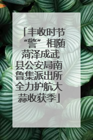 丰收时节“警”相随 菏泽成武县公安局南鲁集派出所全力护航大蒜收获季