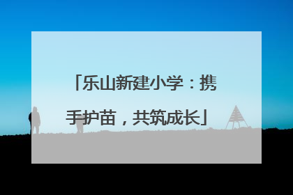 乐山新建小学：携手护苗，共筑成长