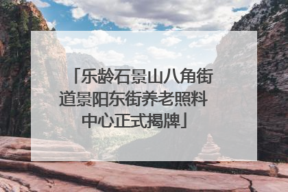 乐龄石景山八角街道景阳东街养老照料中心正式揭牌