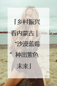乡村振兴看内蒙古｜“沙漠蓝莓”种出紫色未来