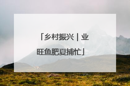 乡村振兴｜业旺鱼肥夏捕忙
