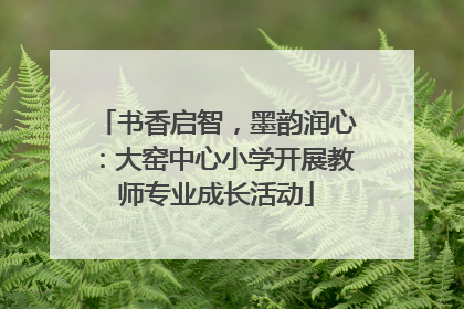 书香启智，墨韵润心：大窑中心小学开展教师专业成长活动
