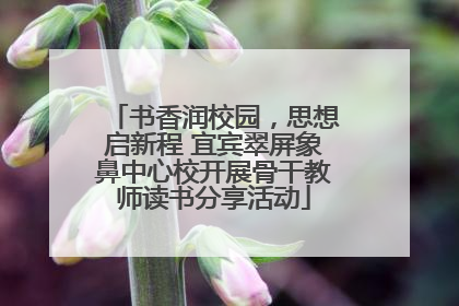 书香润校园，思想启新程 宜宾翠屏象鼻中心校开展骨干教师读书分享活动