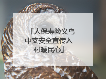 人保寿险义乌中支安全宣传入村暖民心