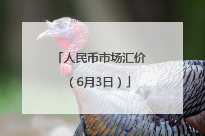 人民币市场汇价（6月3日）