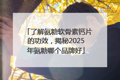 了解氨糖软骨素钙片的功效，揭秘2025年氨糖哪个品牌好