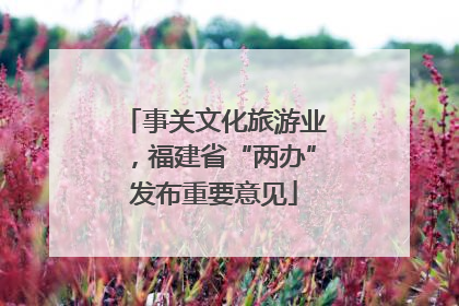 事关文化旅游业，福建省“两办”发布重要意见