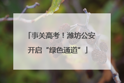 事关高考！潍坊公安开启“绿色通道”