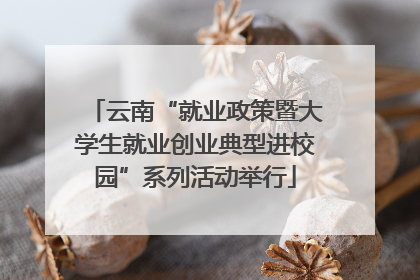 云南“就业政策暨大学生就业创业典型进校园”系列活动举行