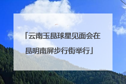 云南玉昆球星见面会在昆明南屏步行街举行