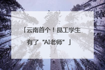 云南首个！昆工学生有了“AI老师”